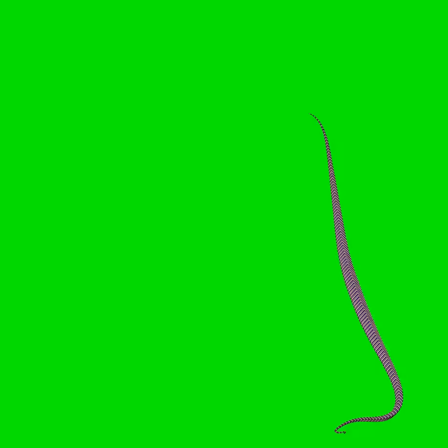 Metawormoid #6