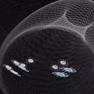 oscillatory dance
