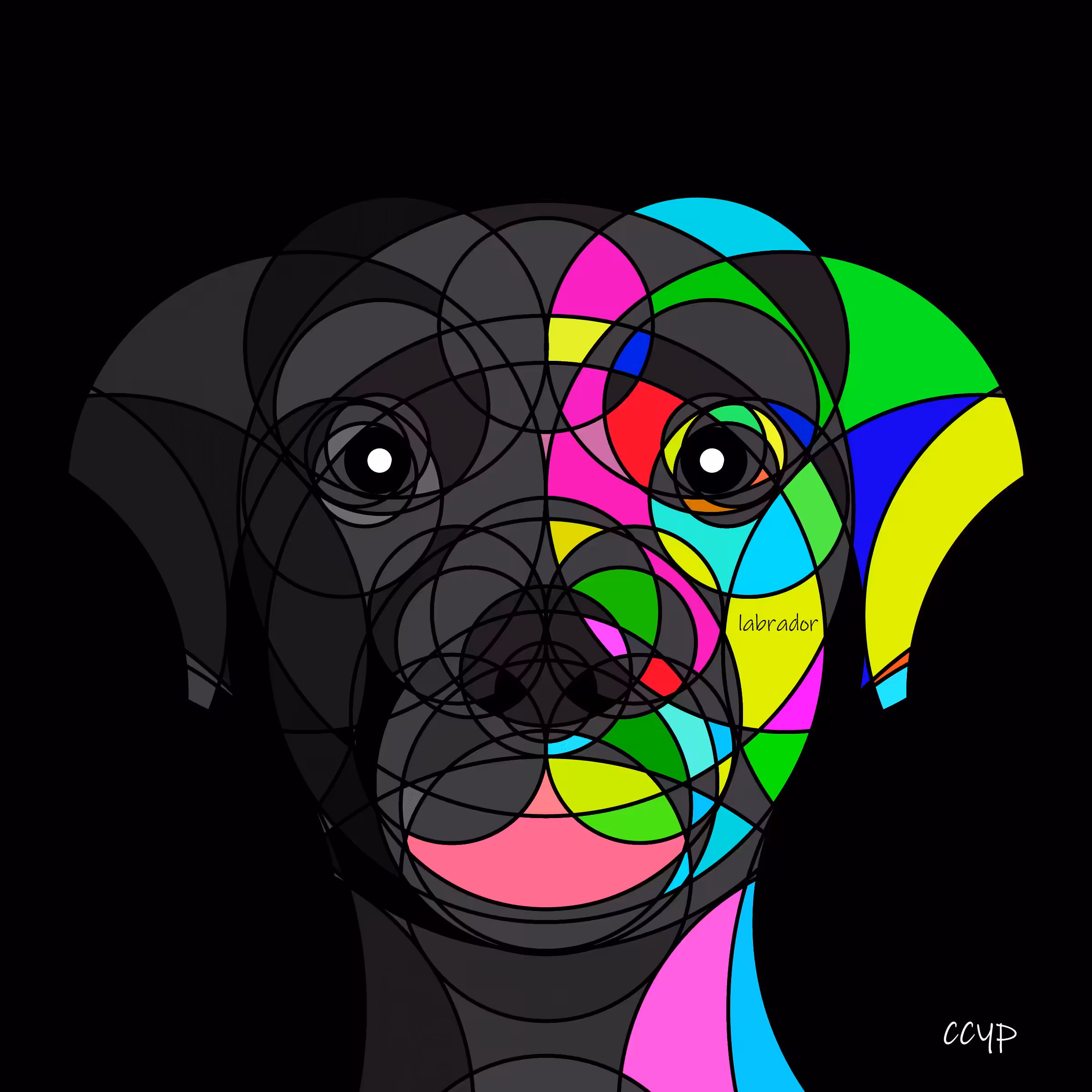 Animal Circle Illustration #020