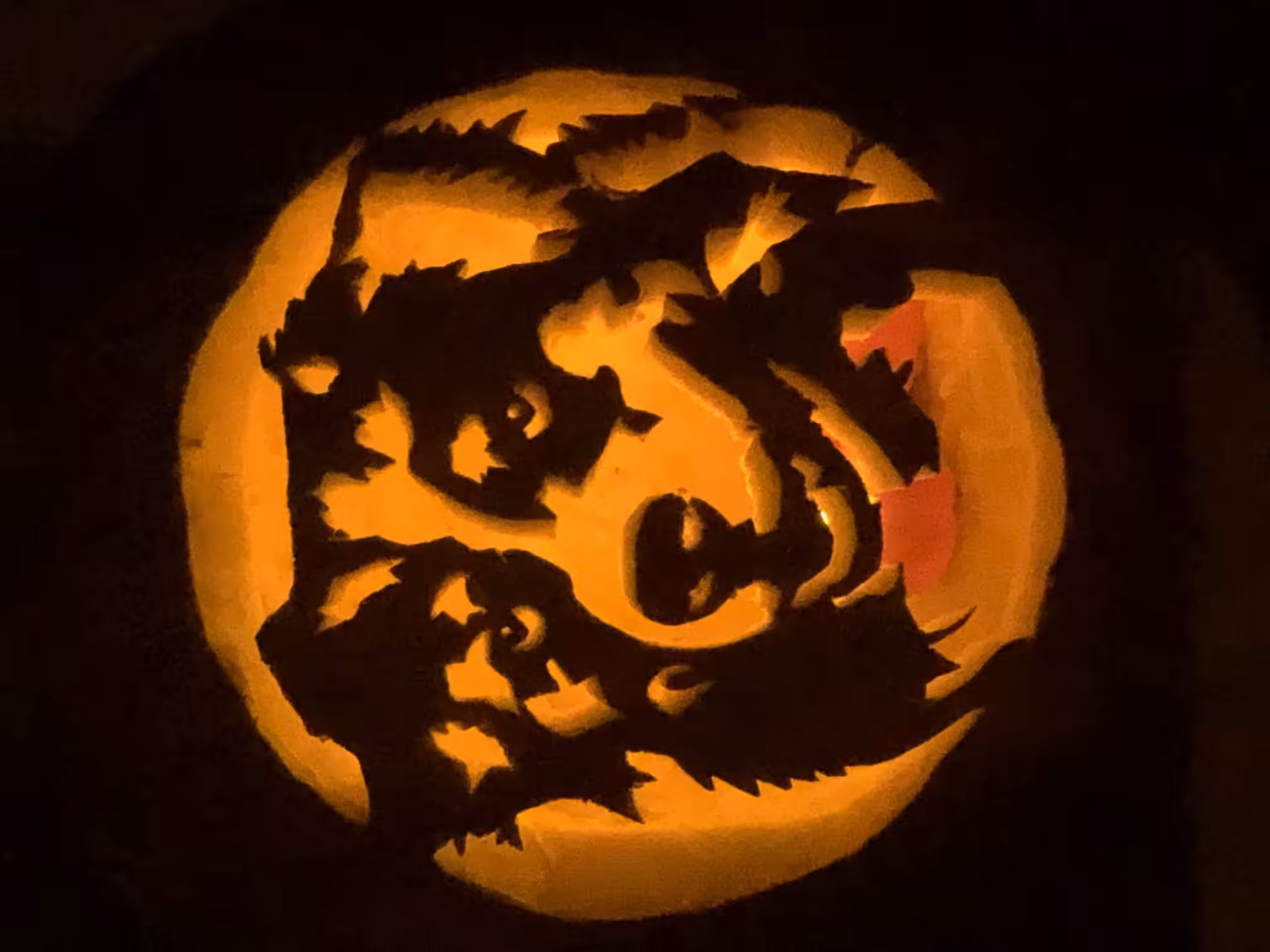 Pumpkin 01 - Aussie
