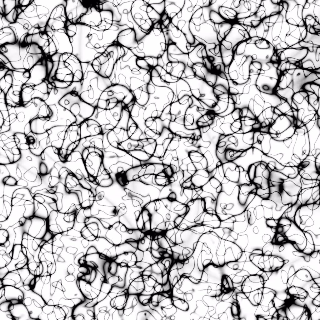 Spiders