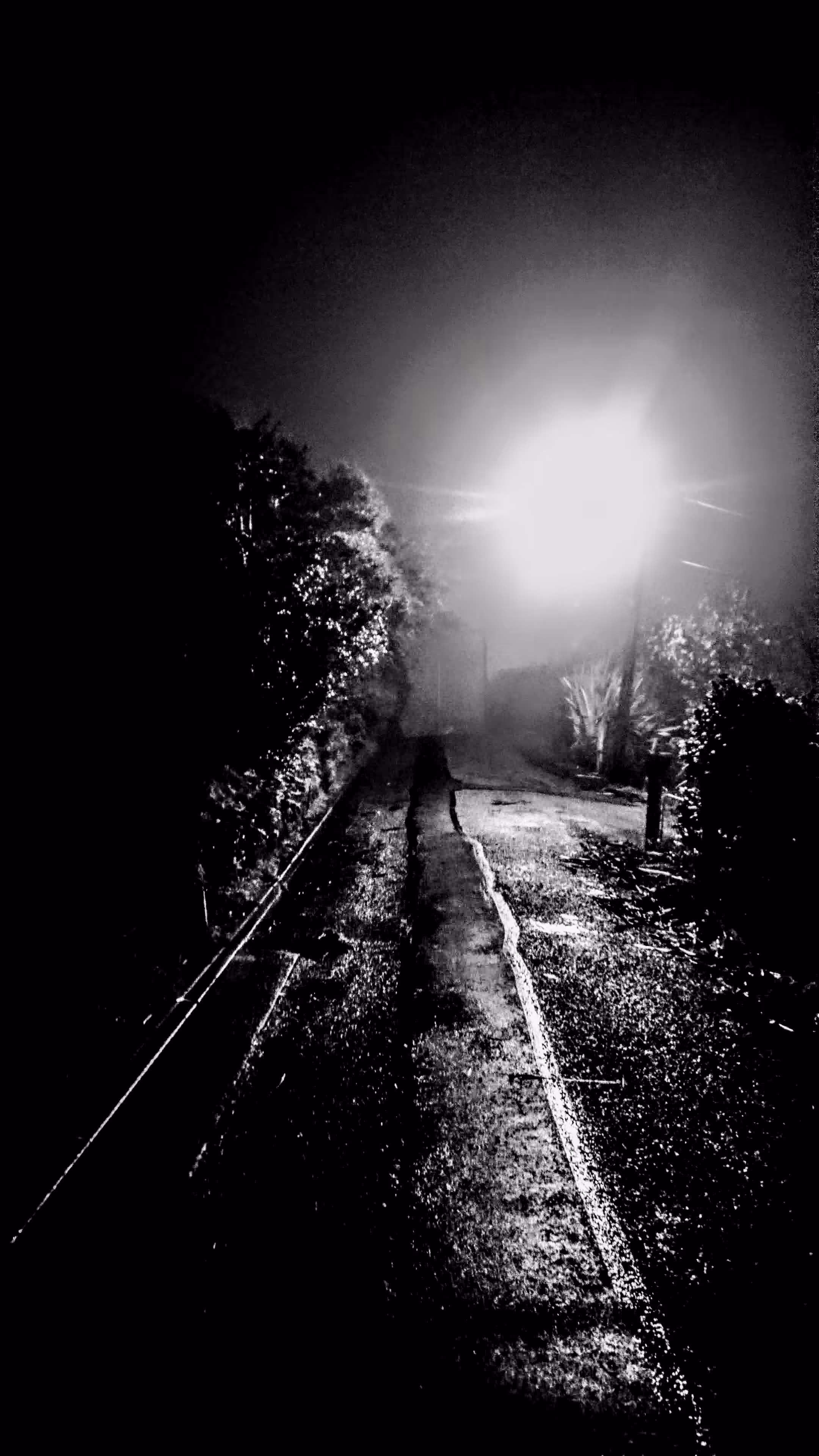 Light the way