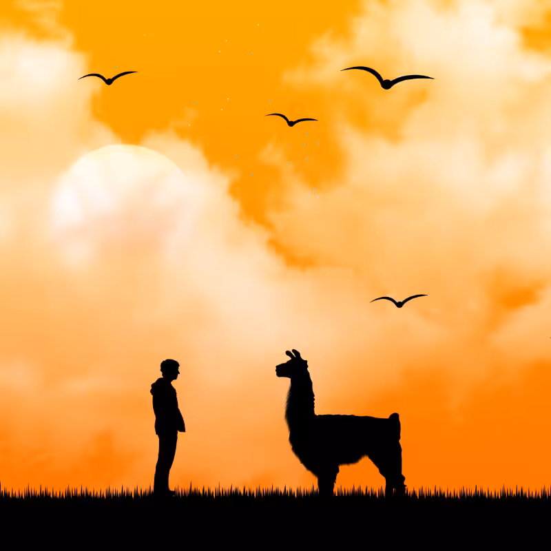 We Care...Llama #4