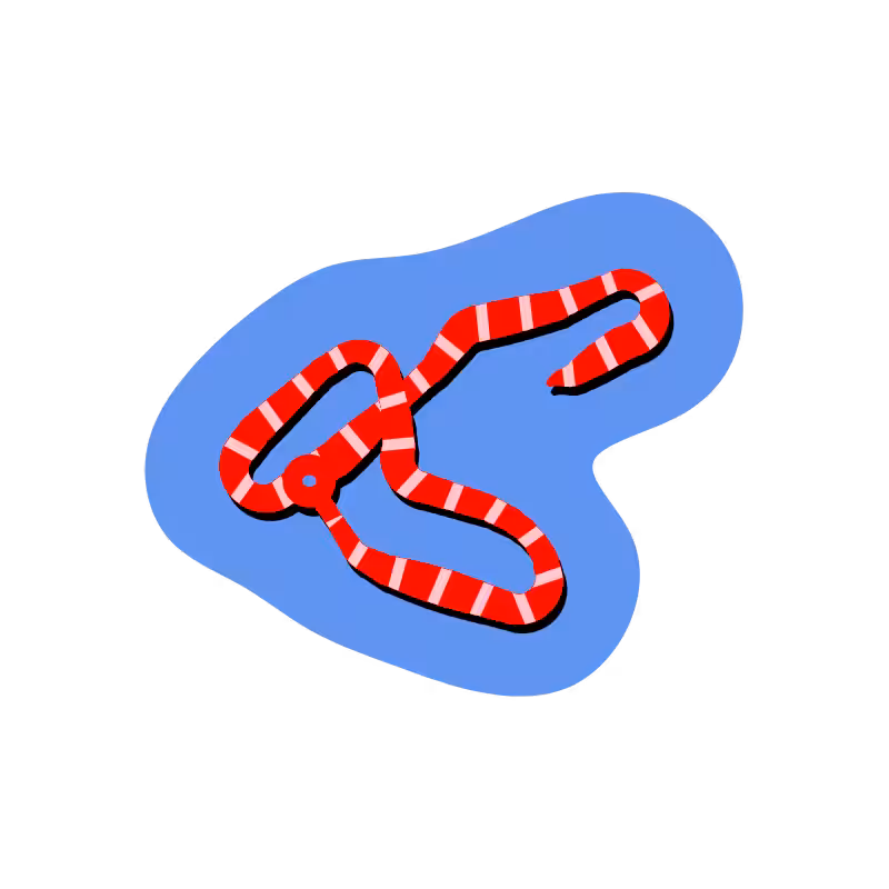 SNAKES! #8