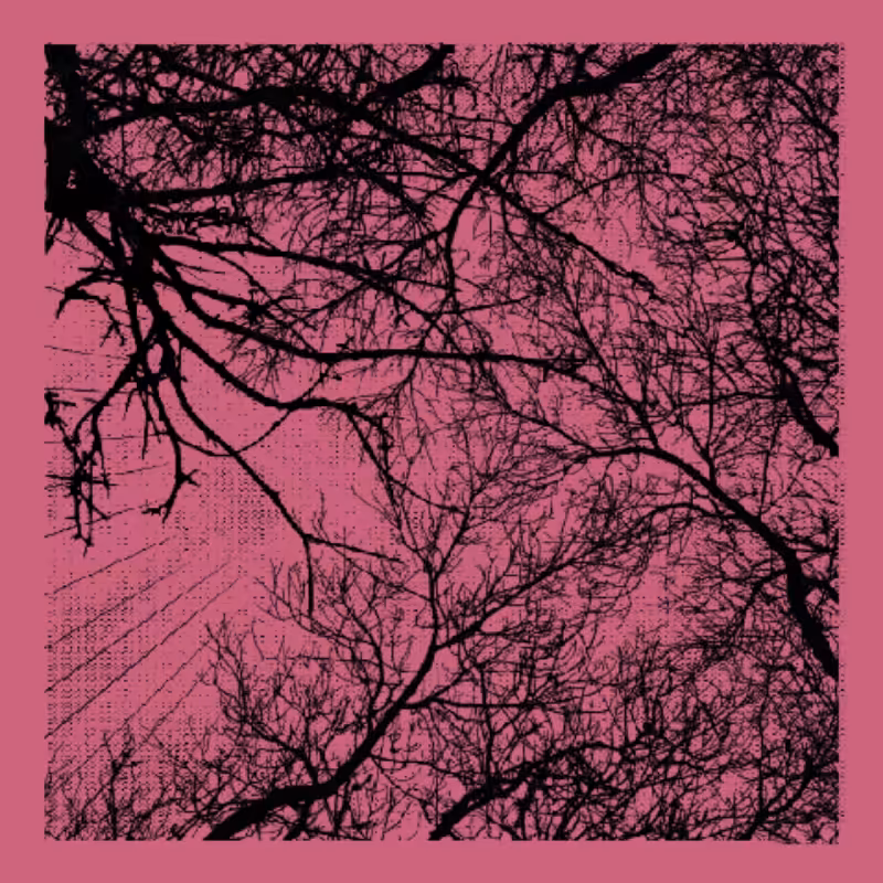 Forest of Shadows #86