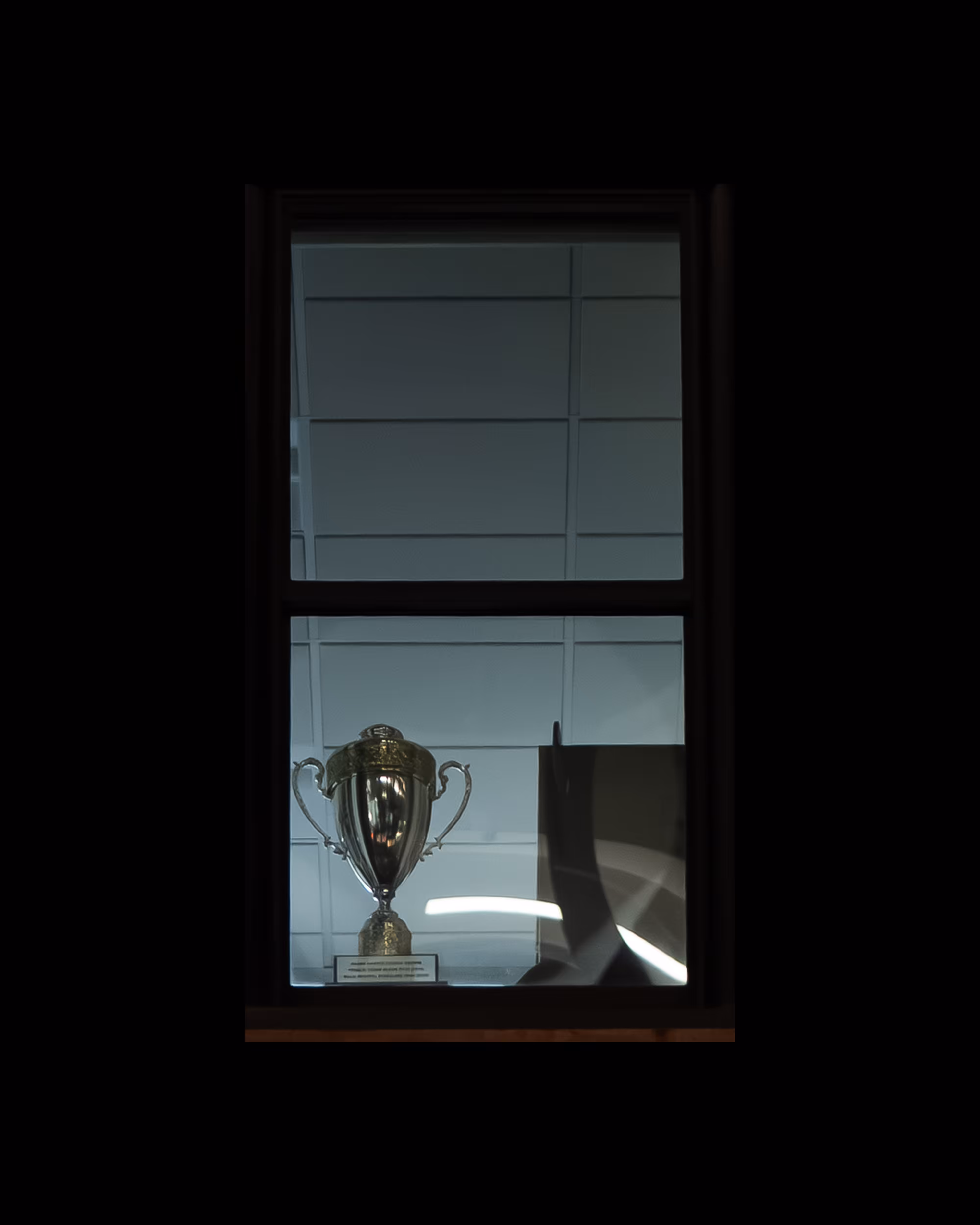 WINDOW 820