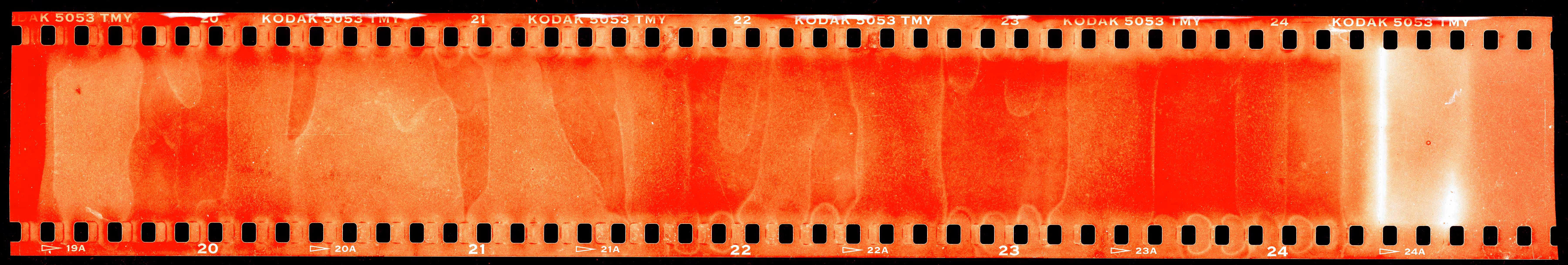 Vintage Digital: No Camera . 1