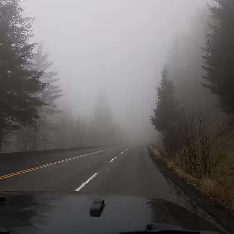 Lost in the fog