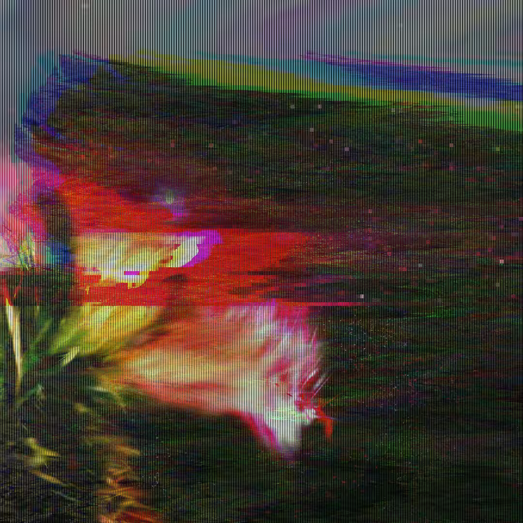 adenium_001