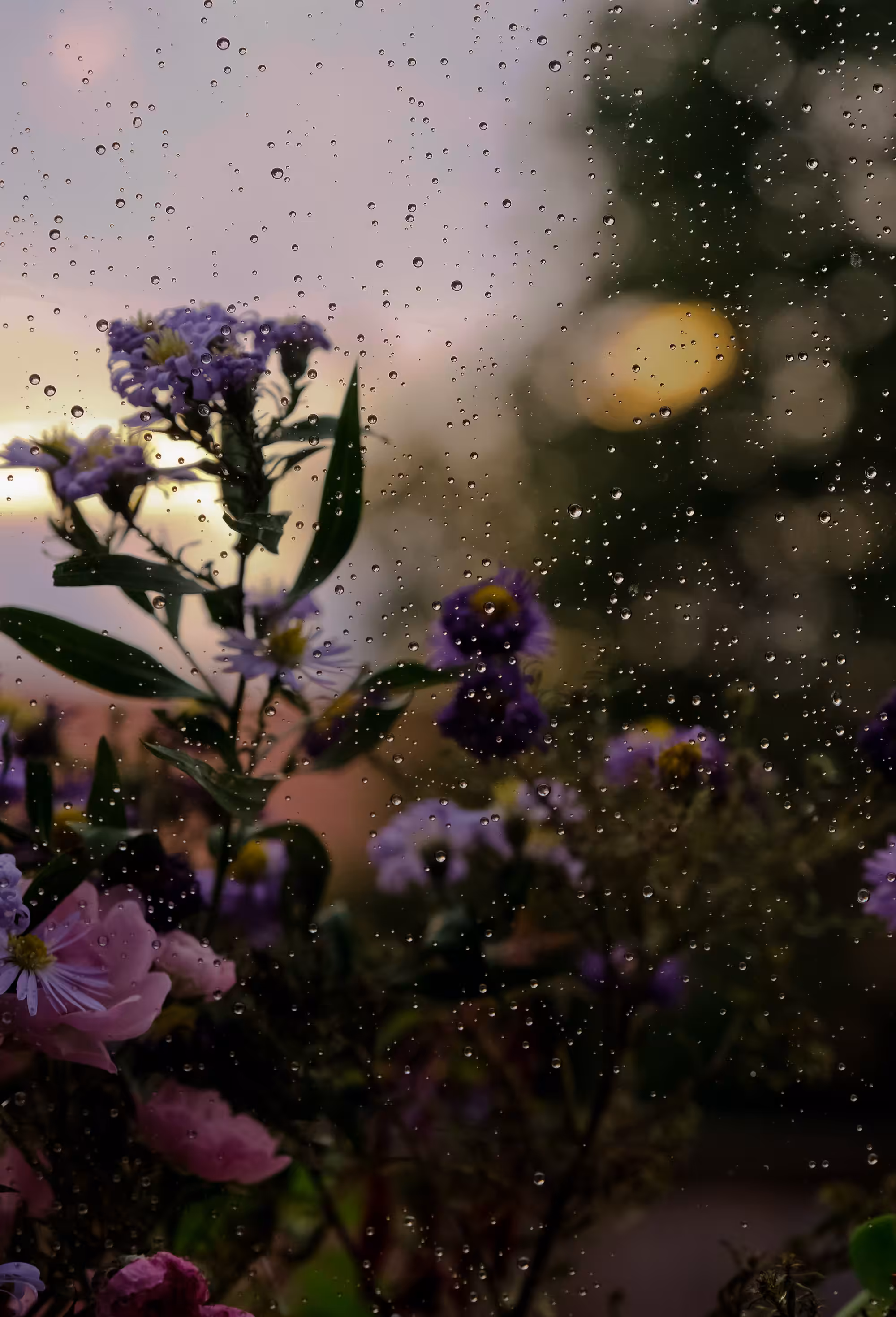 7. Drops