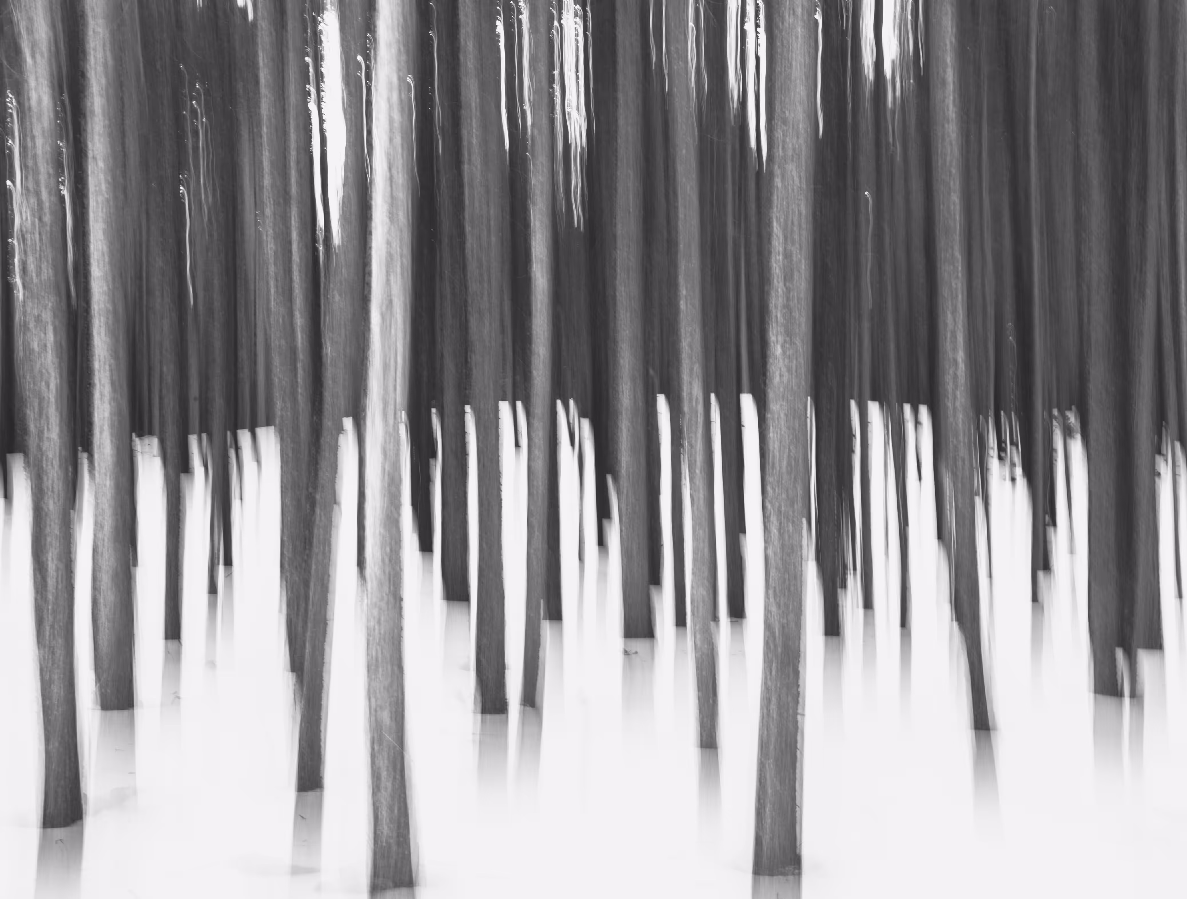 Winter in Abstract