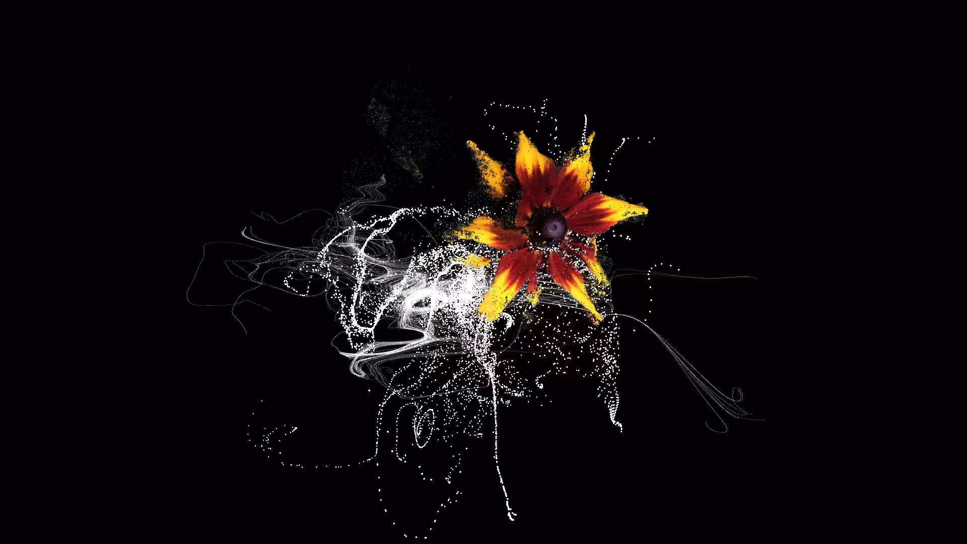 Generative abstraction : Generative Flower 4