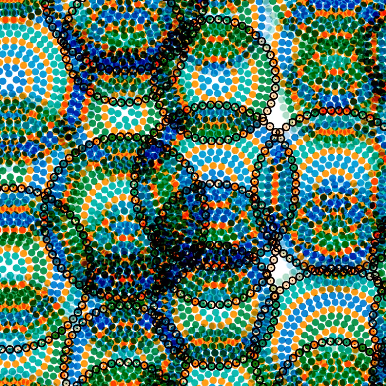 Rings of Rings #6