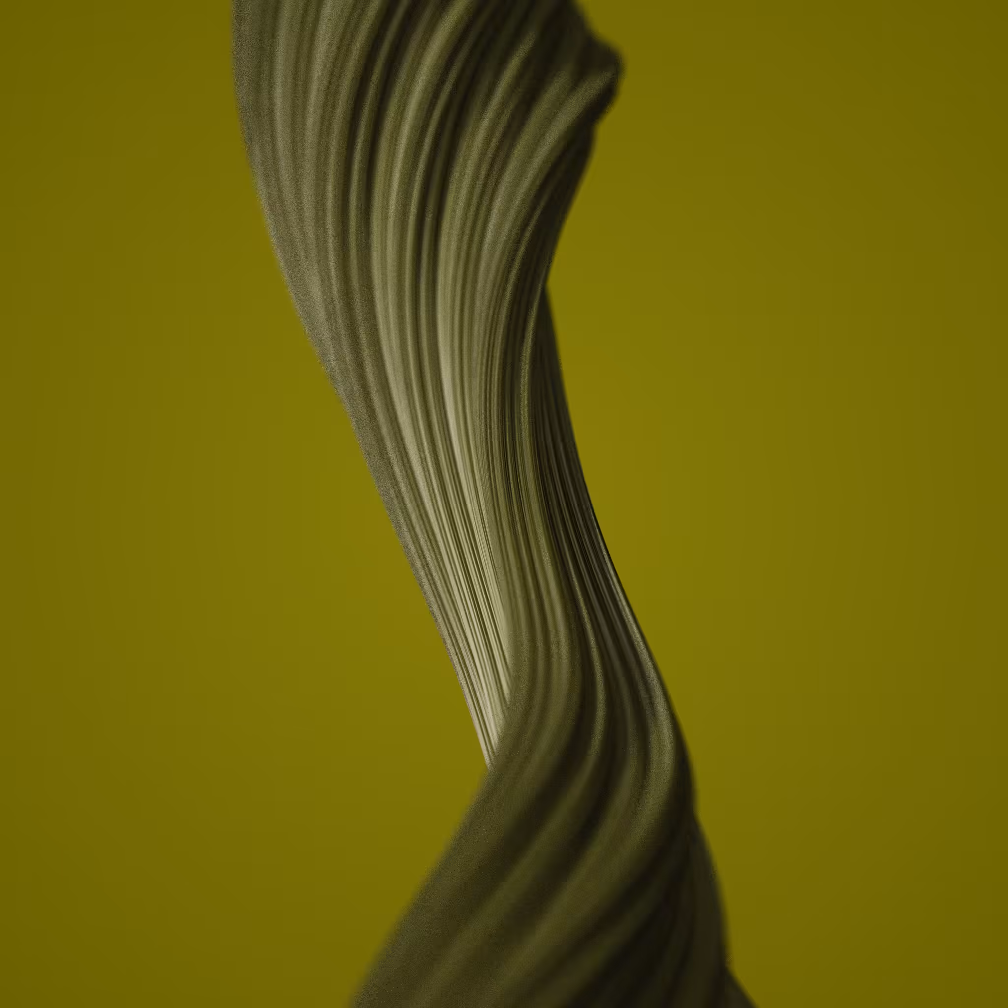 fibr #8