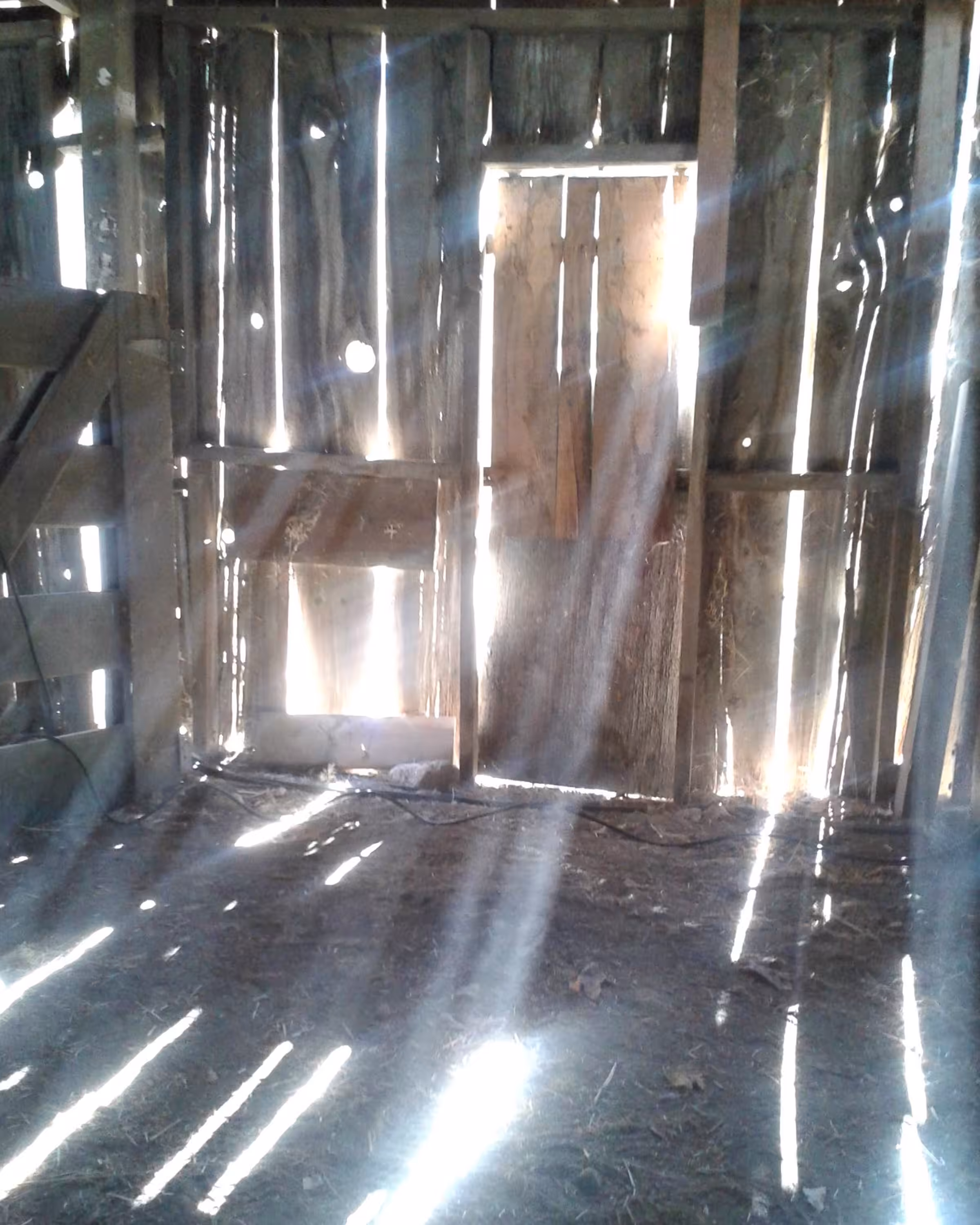 Old Barn Stall