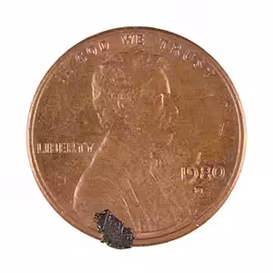CENTS #3884