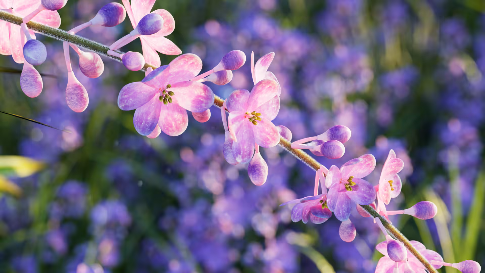 Bloom
