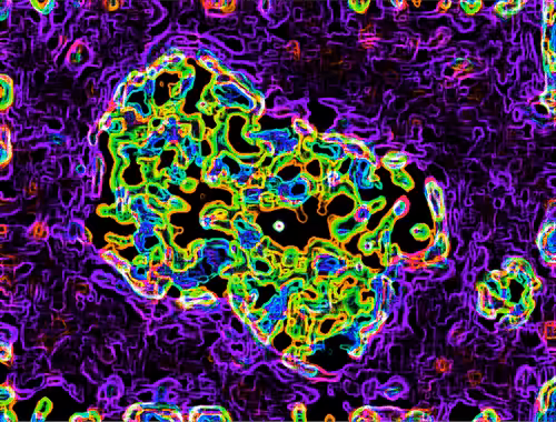 Worm Twin #14