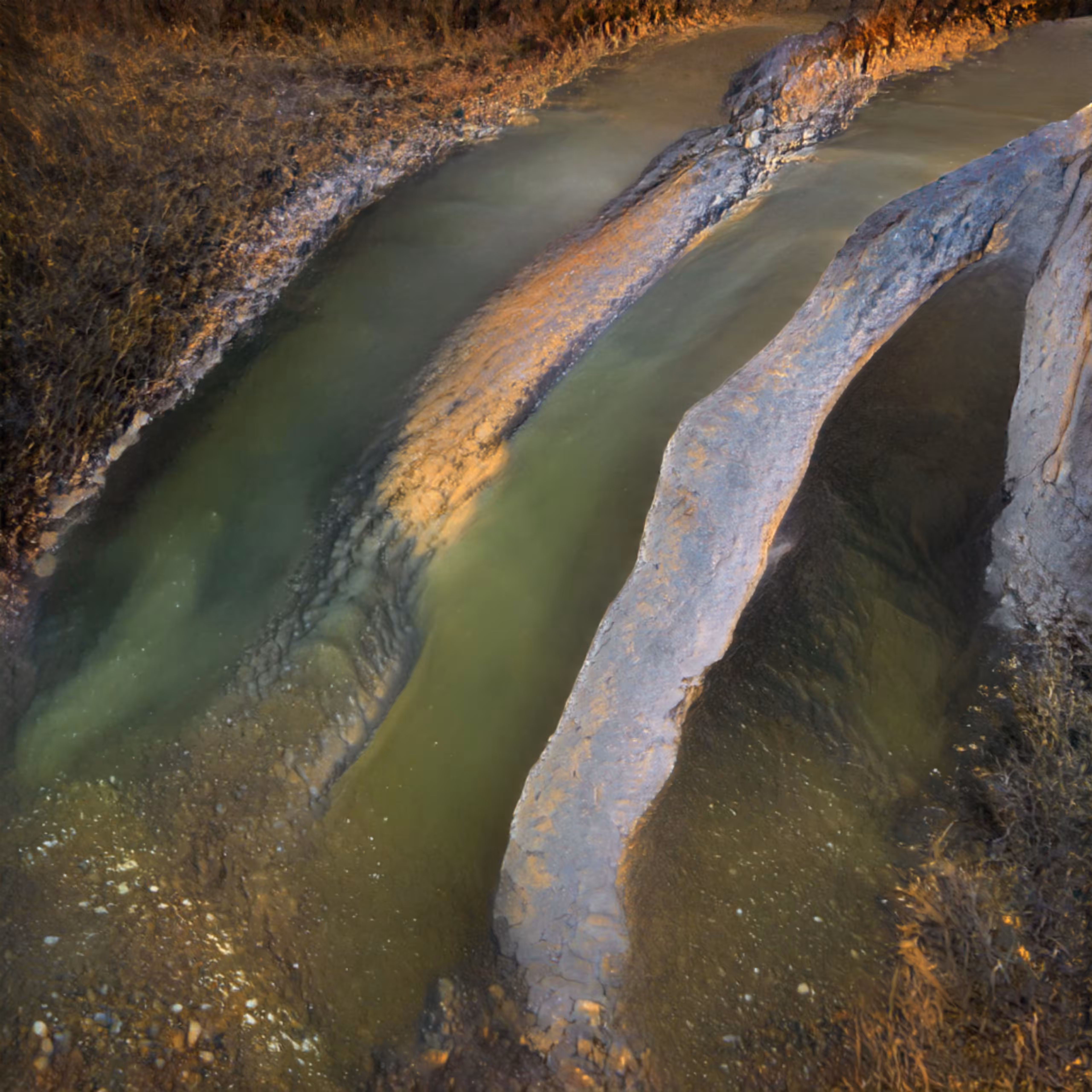 Estuary
