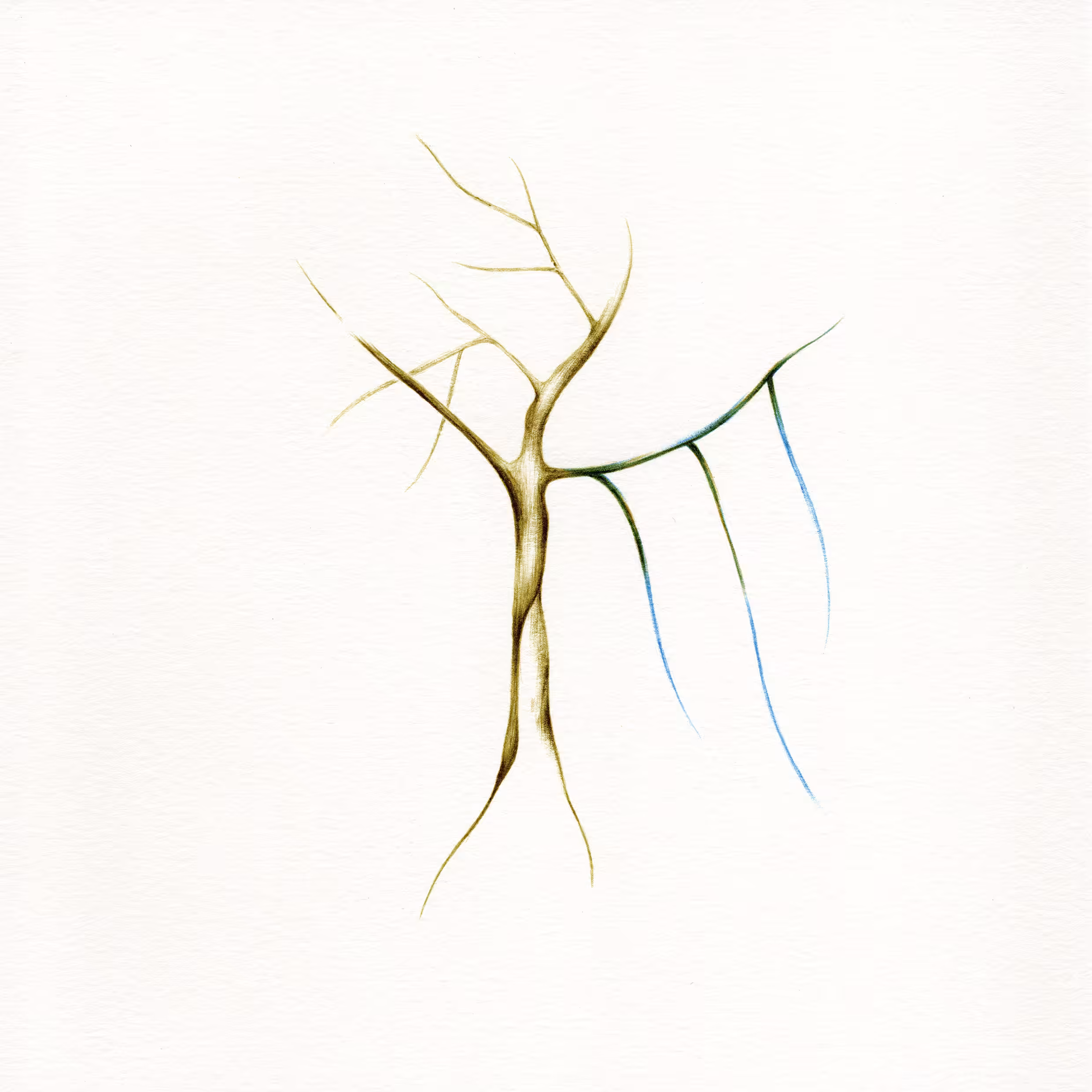 imaginary tree #7