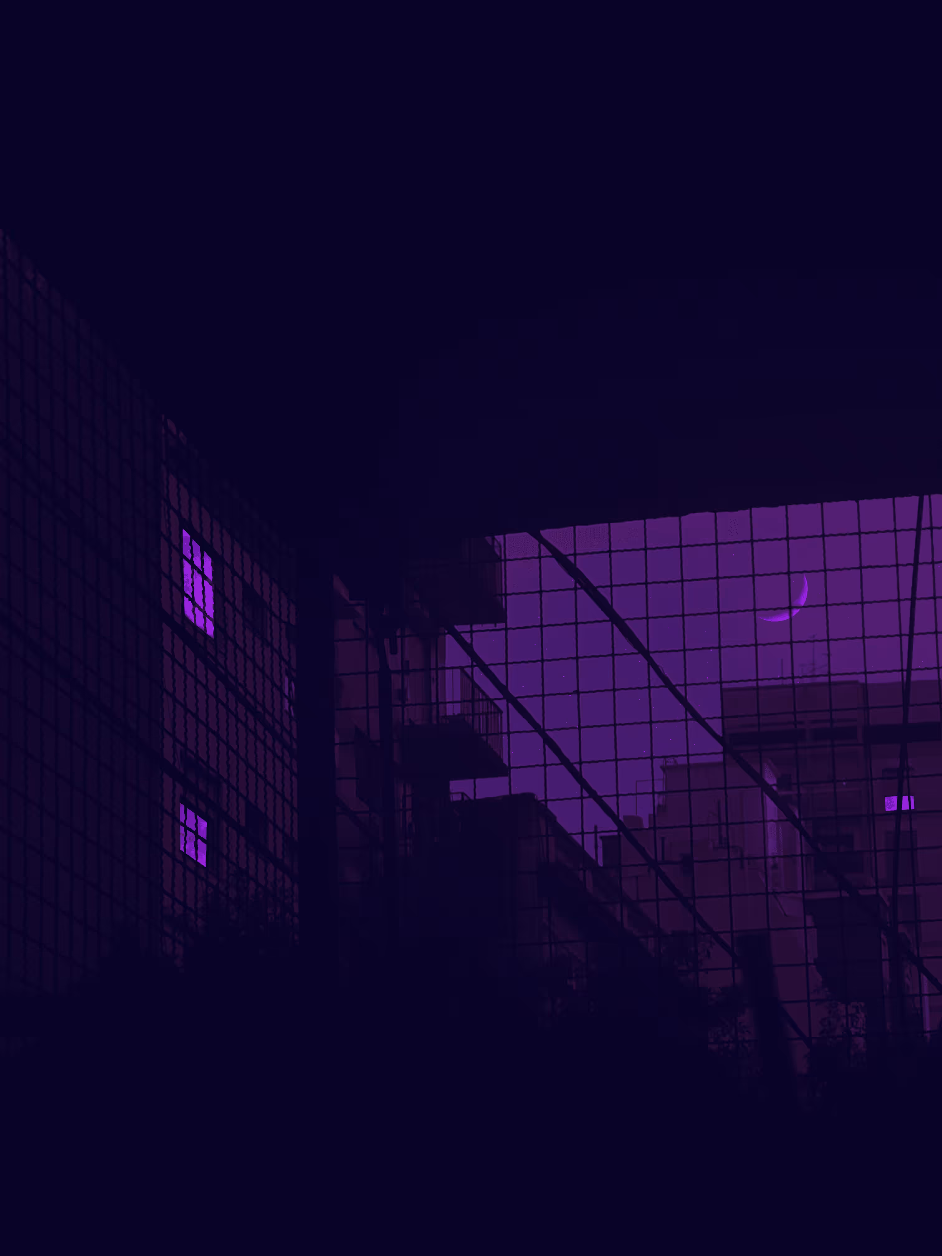 Pink & Purple World #14