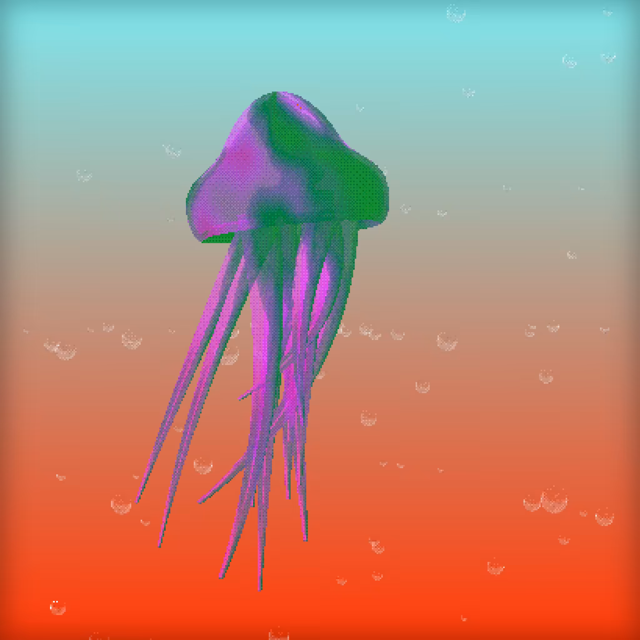 Jellyfish #5