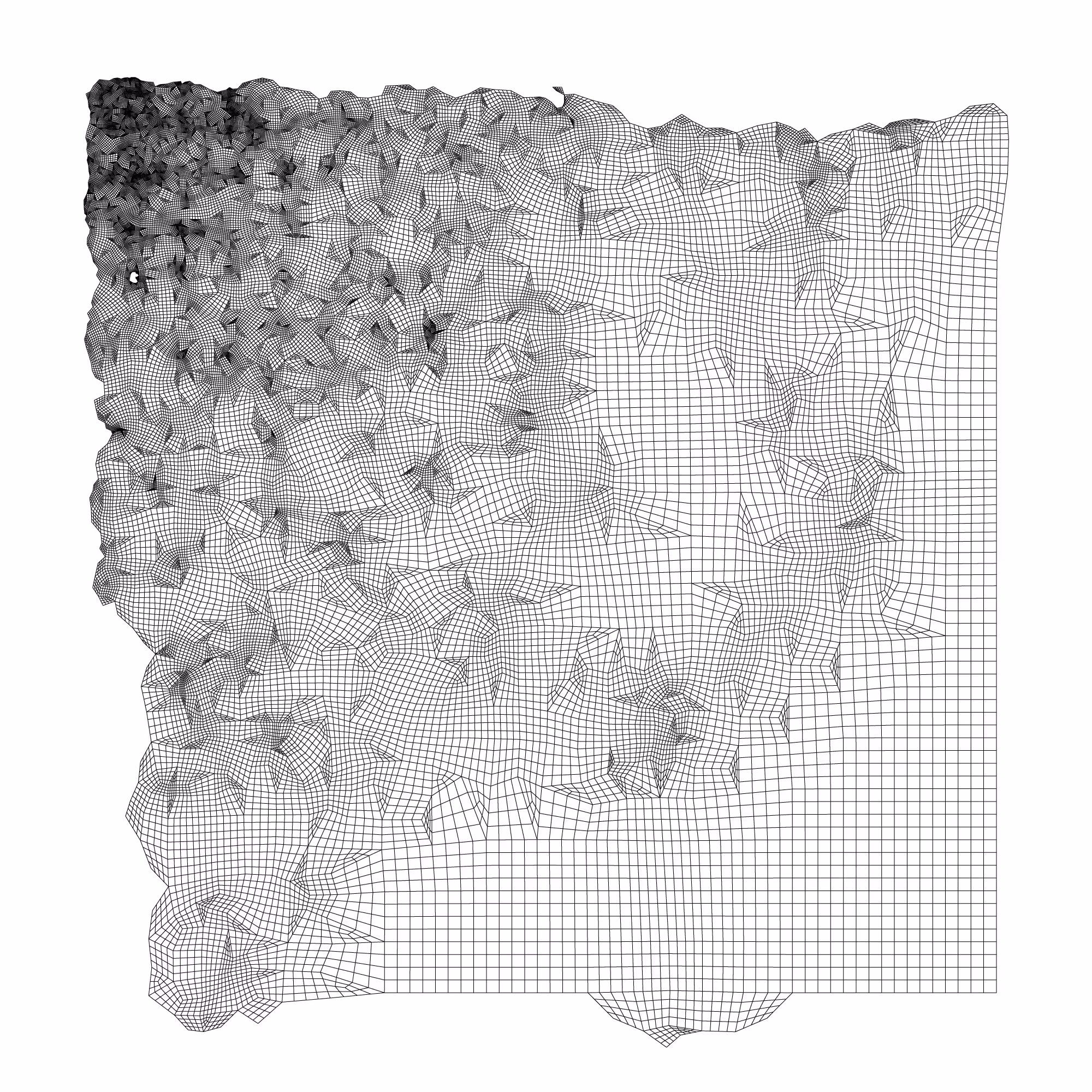PolyCuts VI