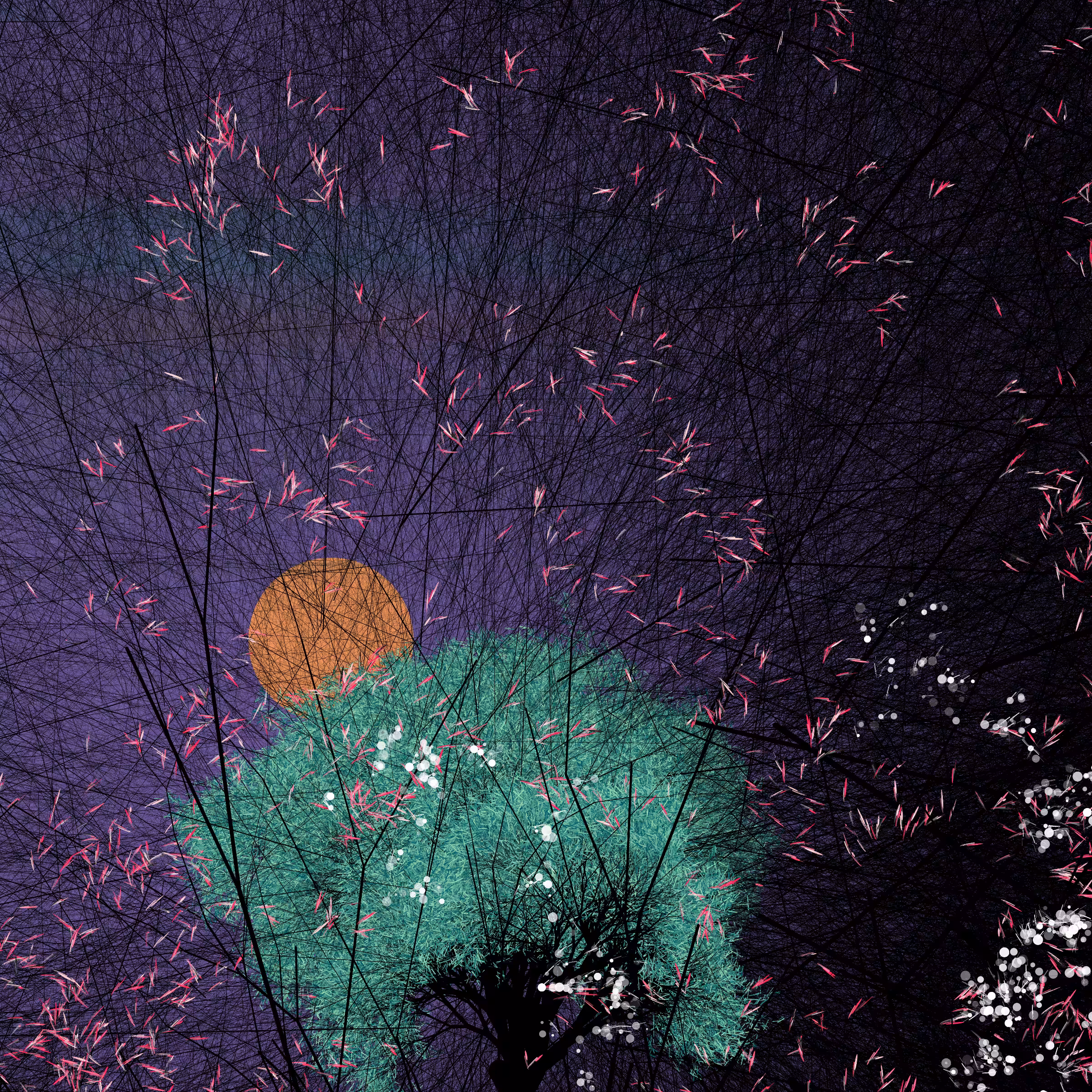 conversation with the wind #340