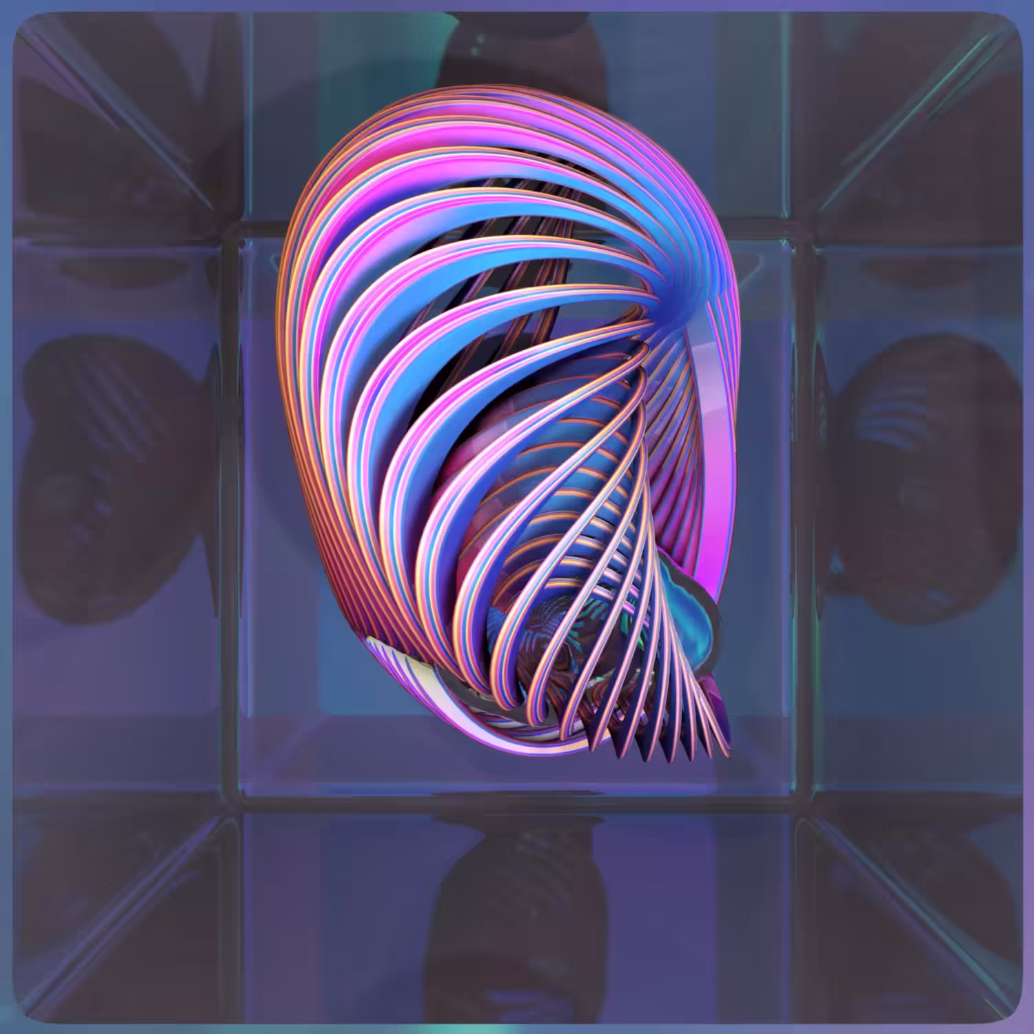 Whorl Partition #3