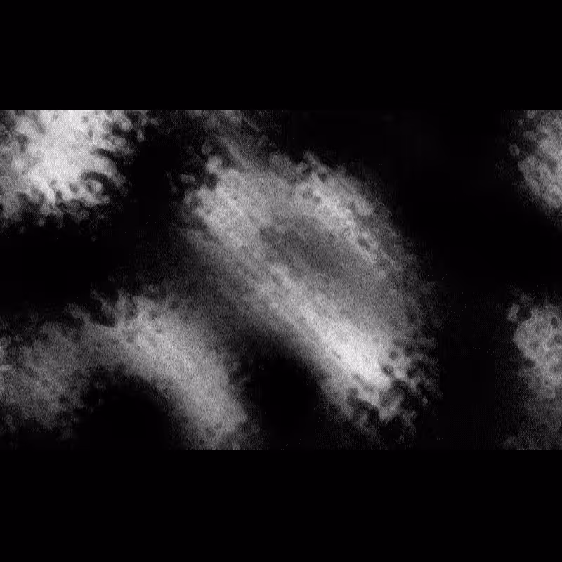 ƧЦBƧƬЯΛƬӨ DΣ PӨΣIЯΛ #74