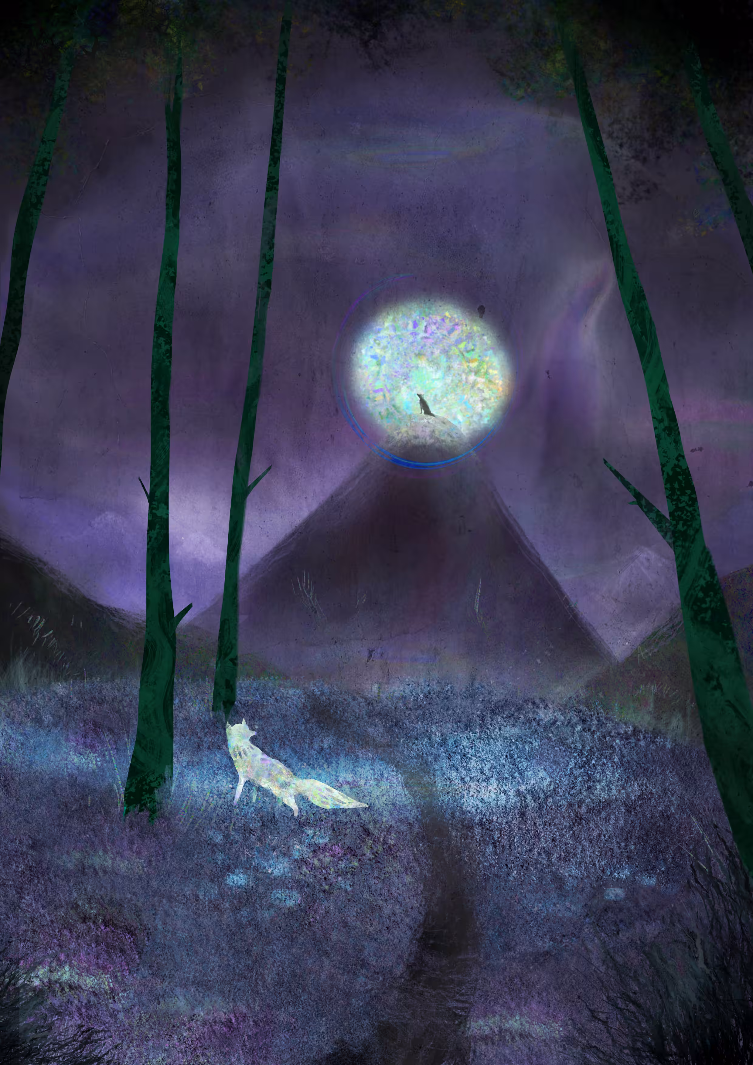 Night and Illusion 