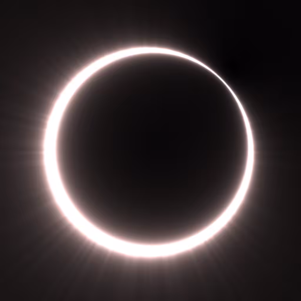 Totality #153