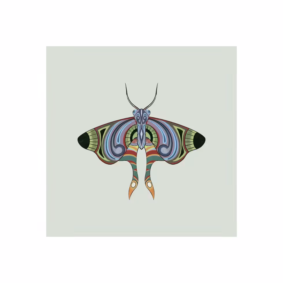 The Moth Experiment  #23