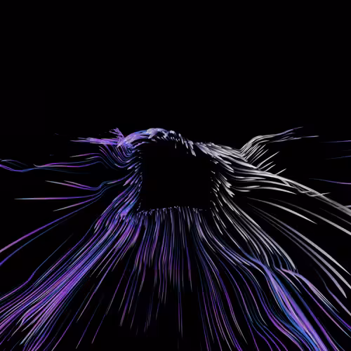 Vortex #1234