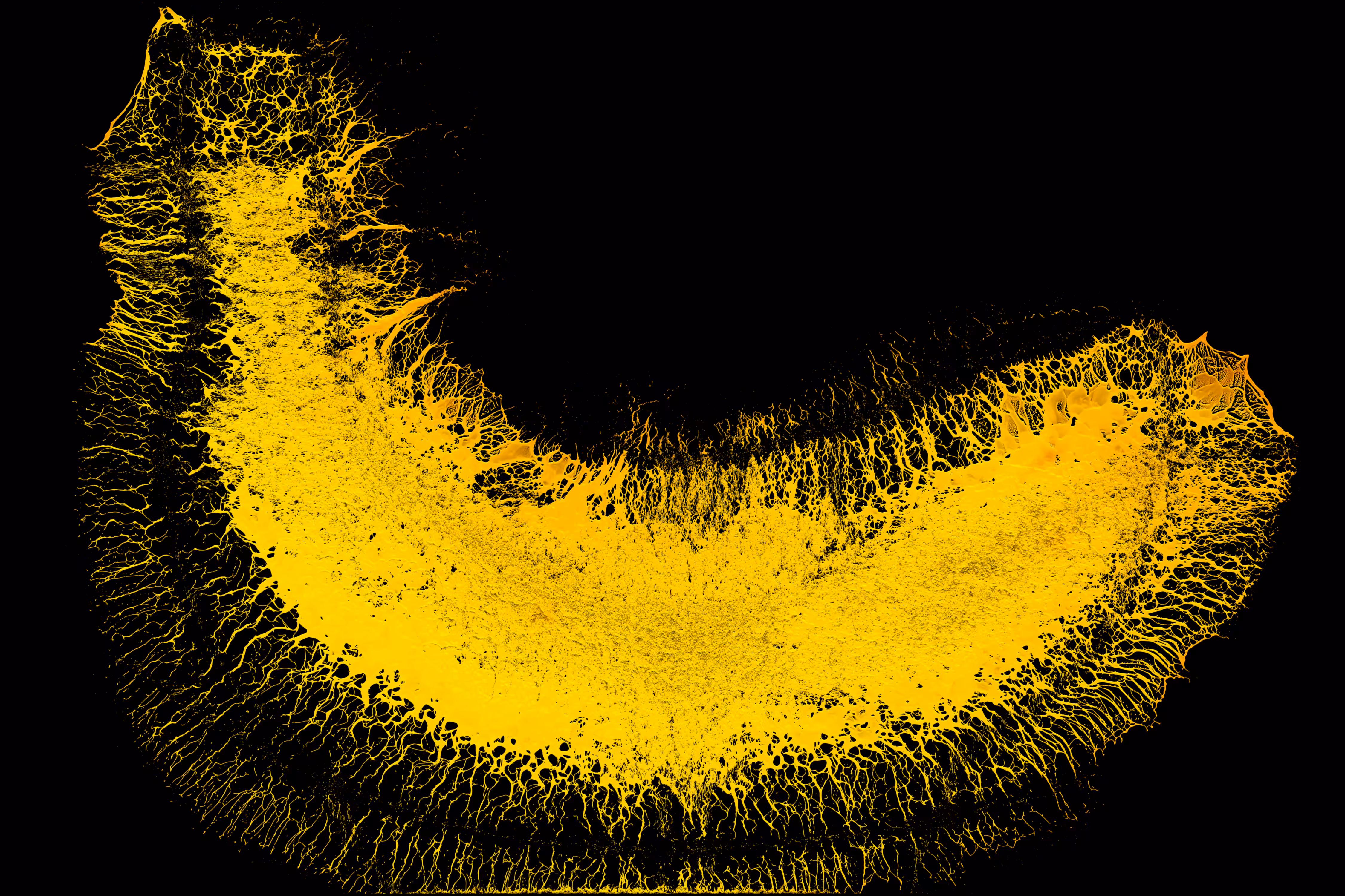 Banana splash [2/3]