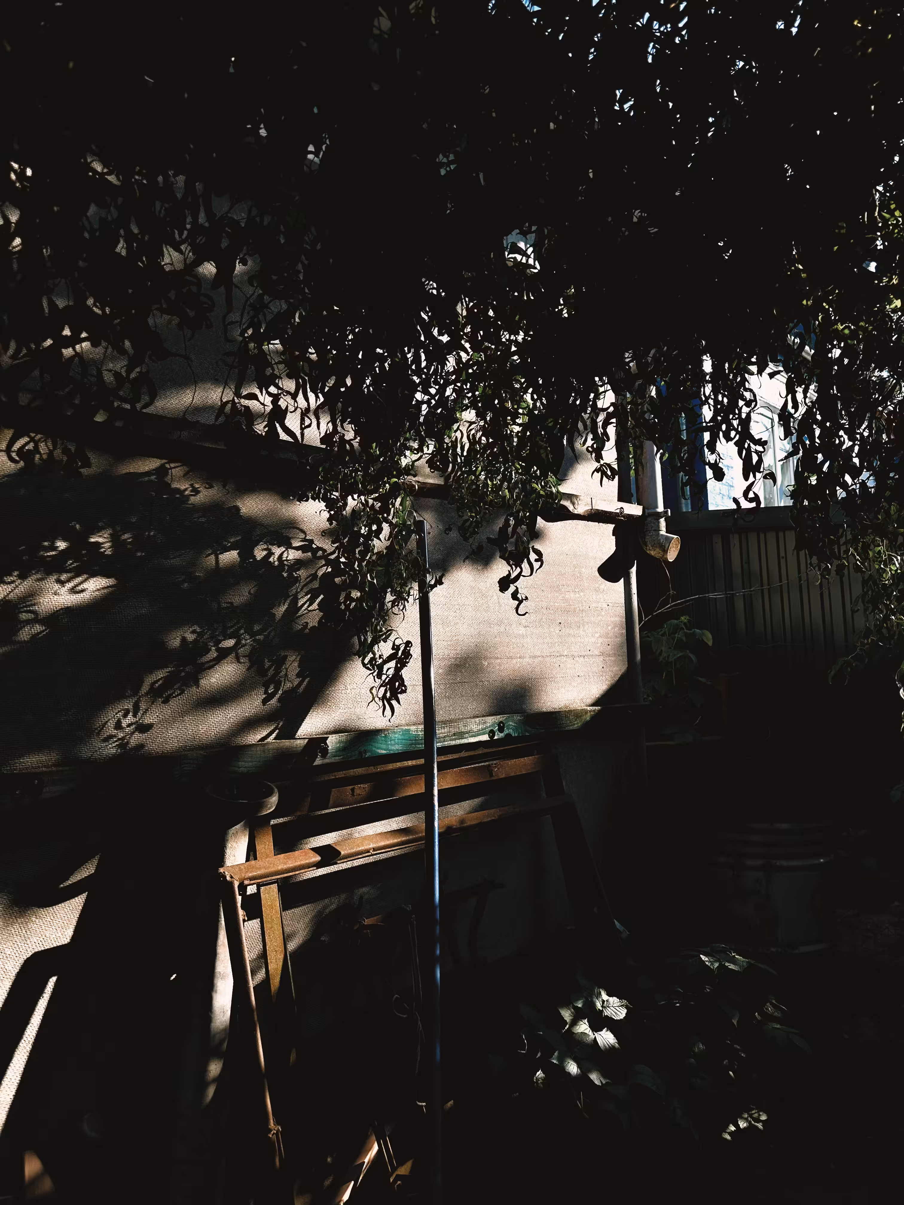 Shadow Workshop