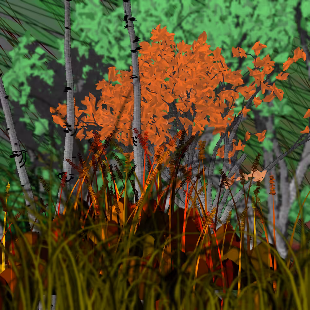 Nature's Vanity: Slideshow #3