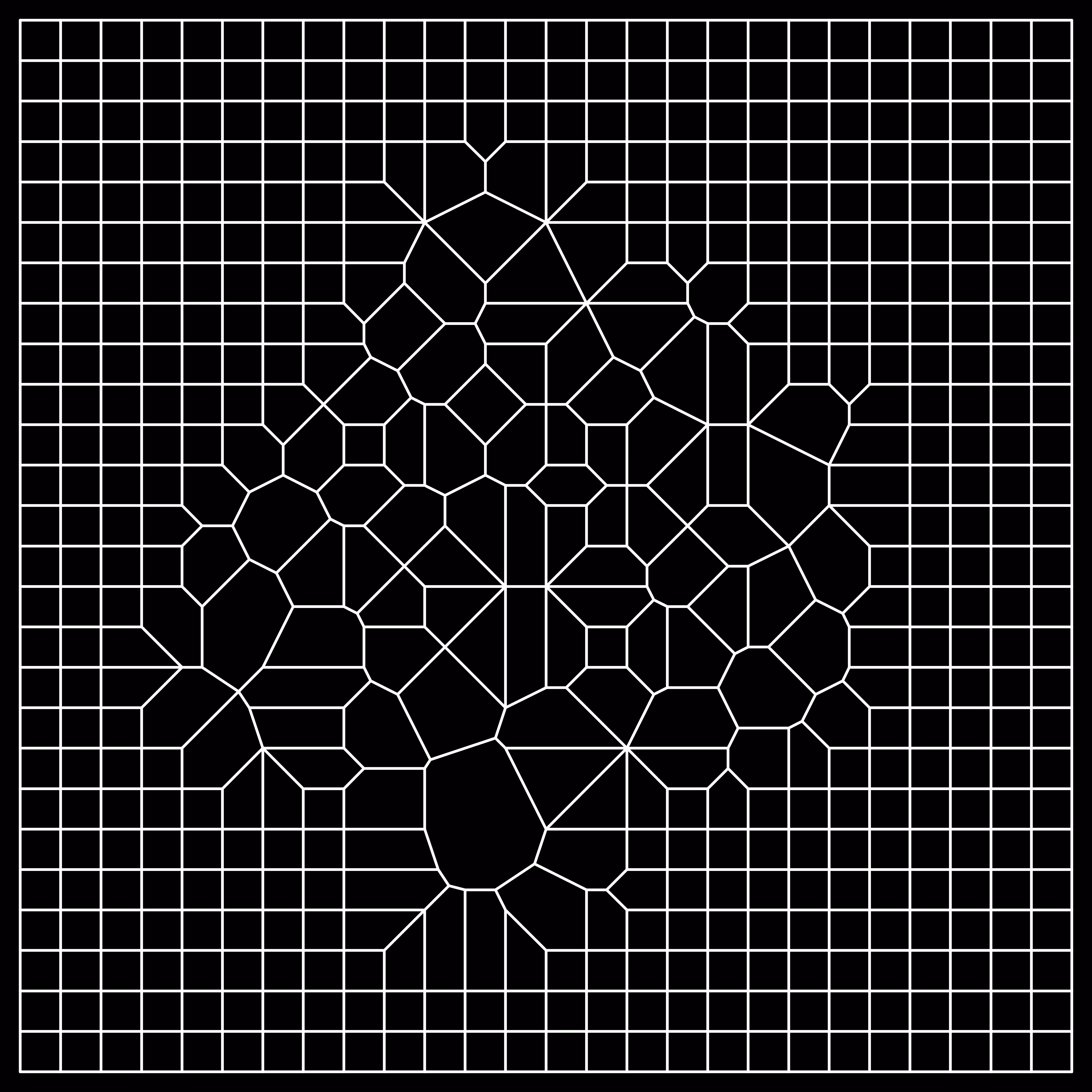 Reticulum-4