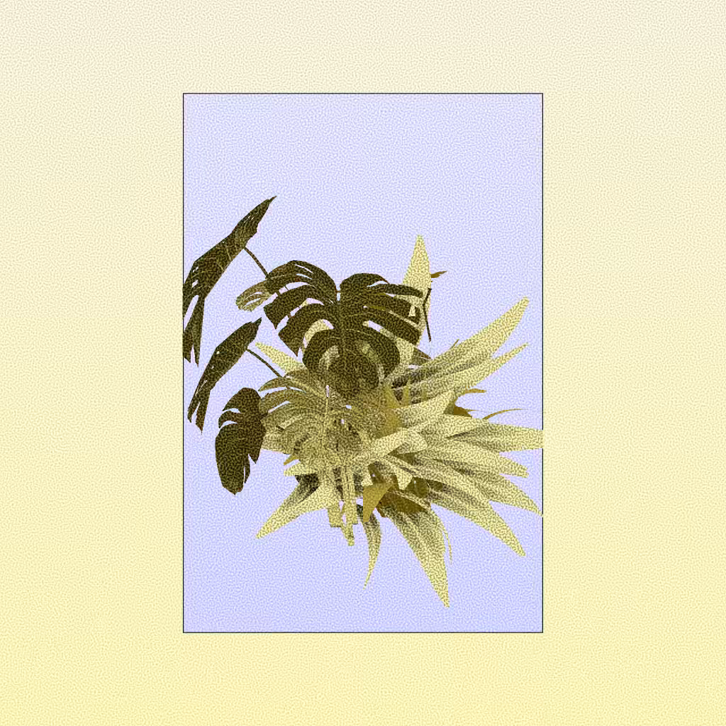 Botany #108