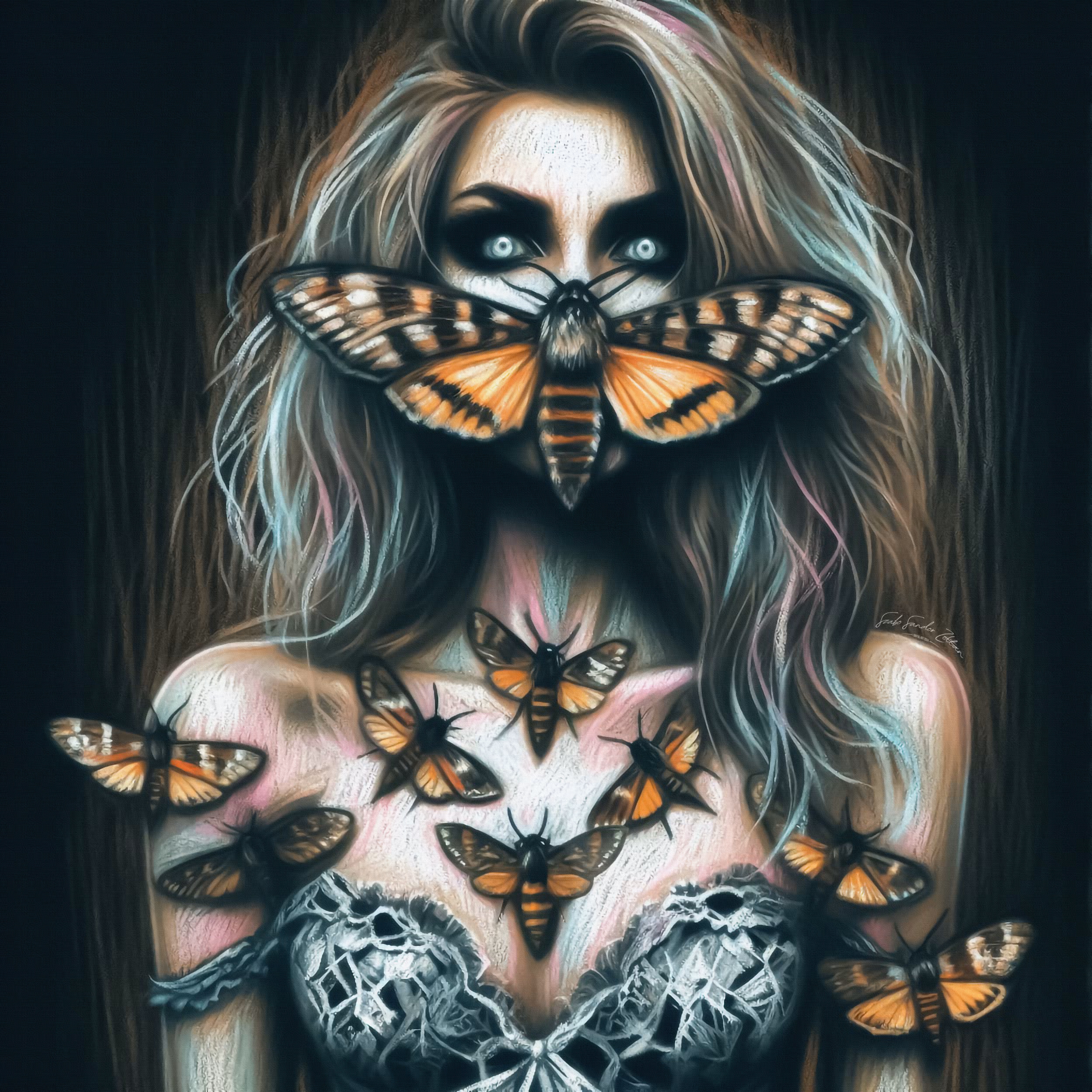 🦋- Butterfly swarm -🦋