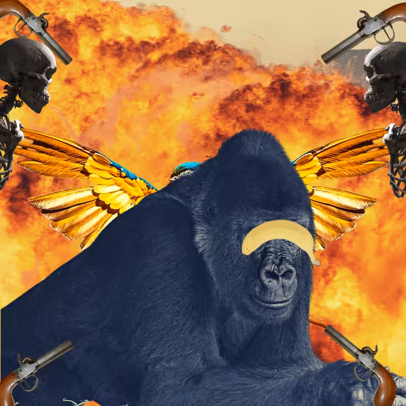 Blinded apes #12