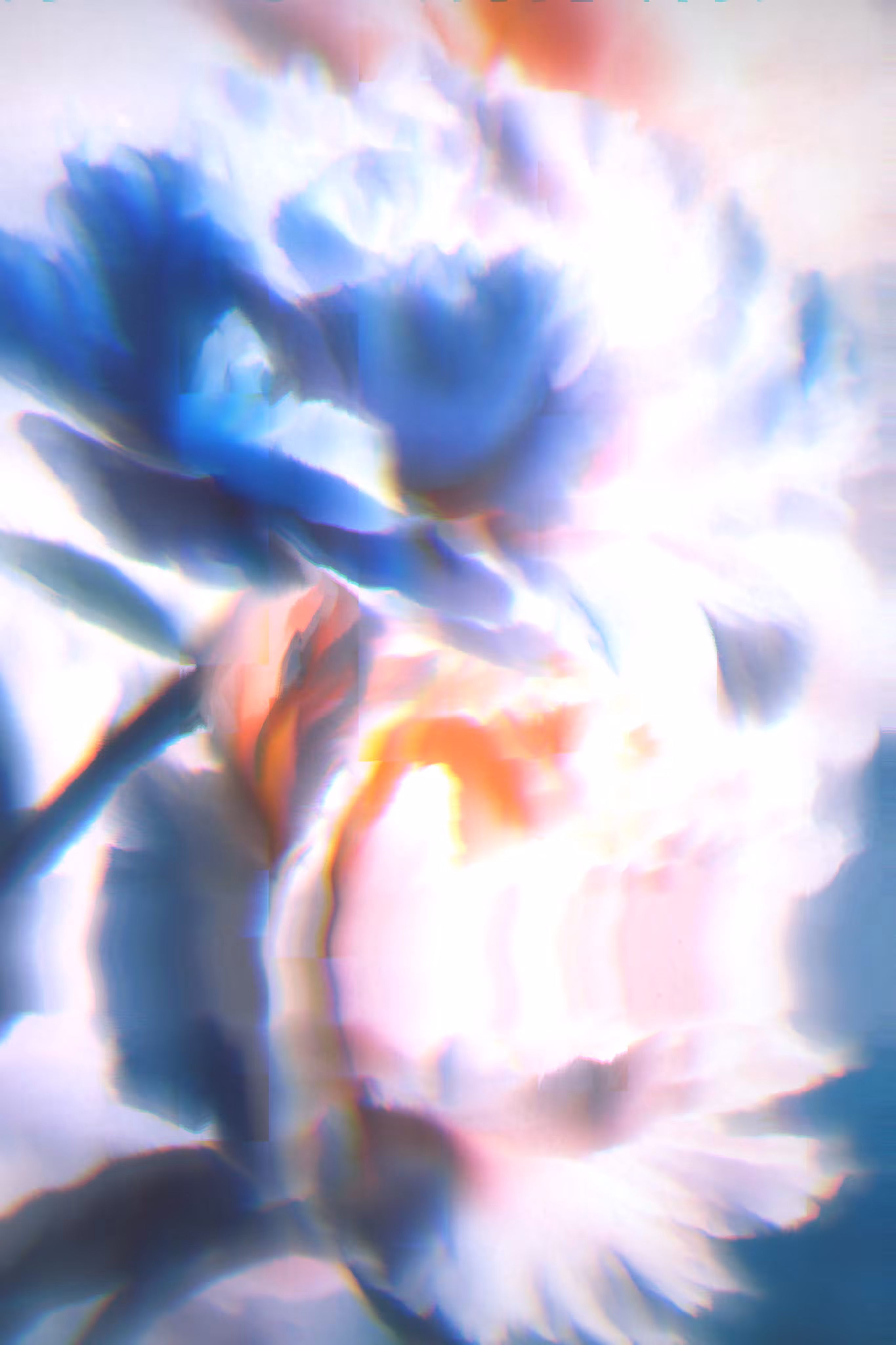 NDRW-KFR-i03, 2024