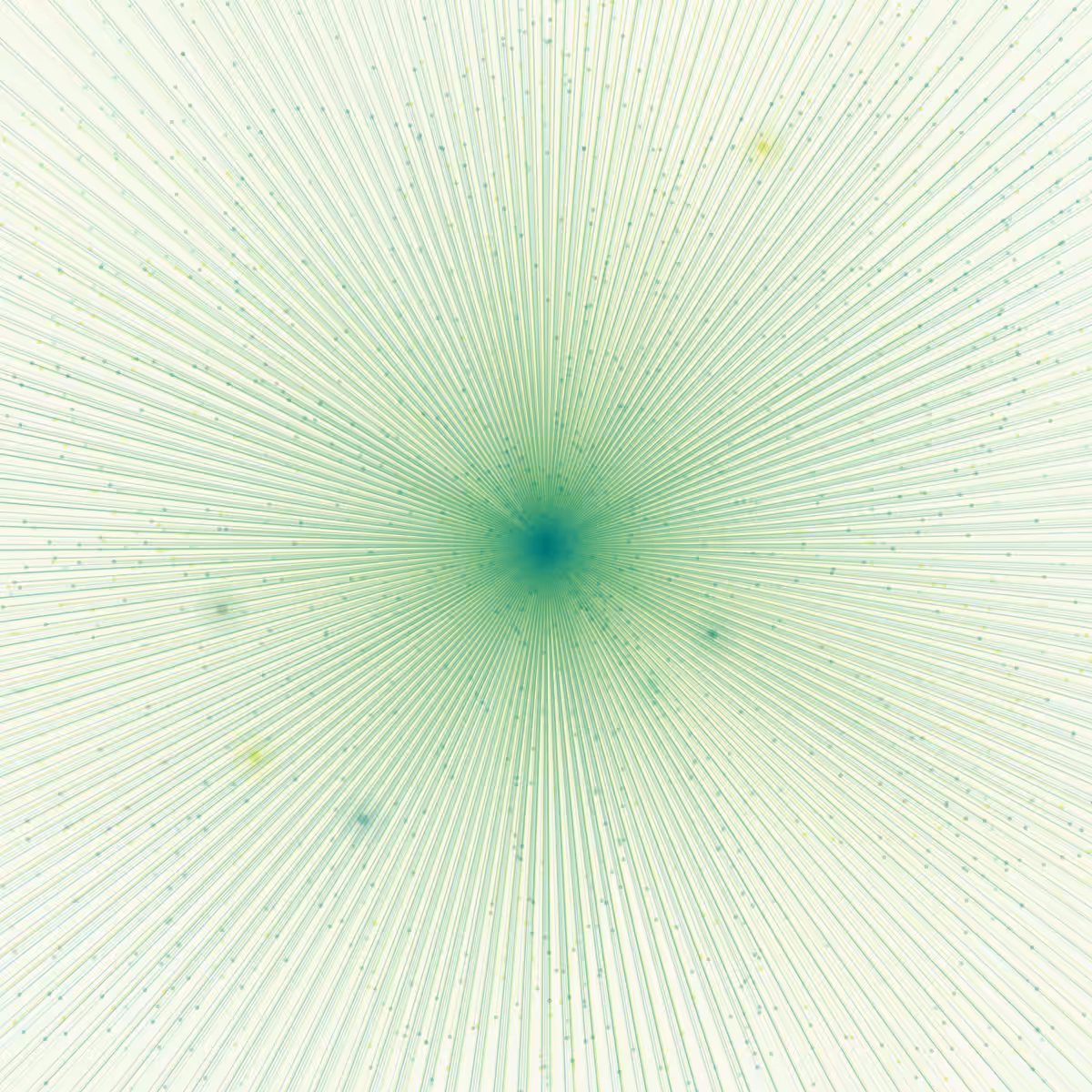 Fairy of light flowering #85