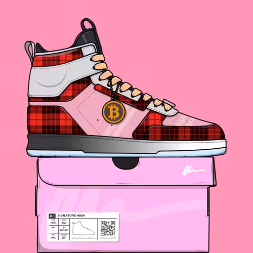 Signature Sneakers Highs #243