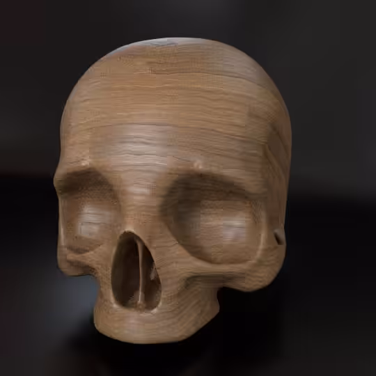 SkullZ #209