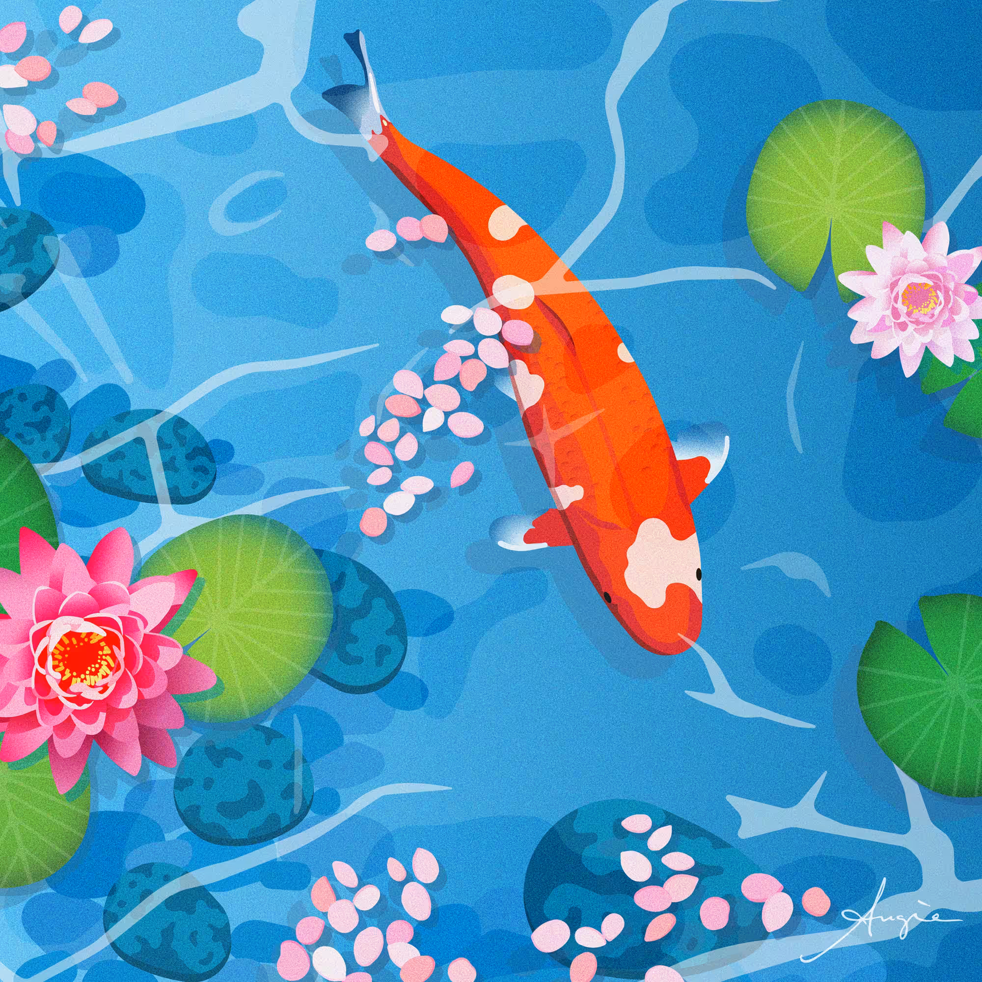 Koi