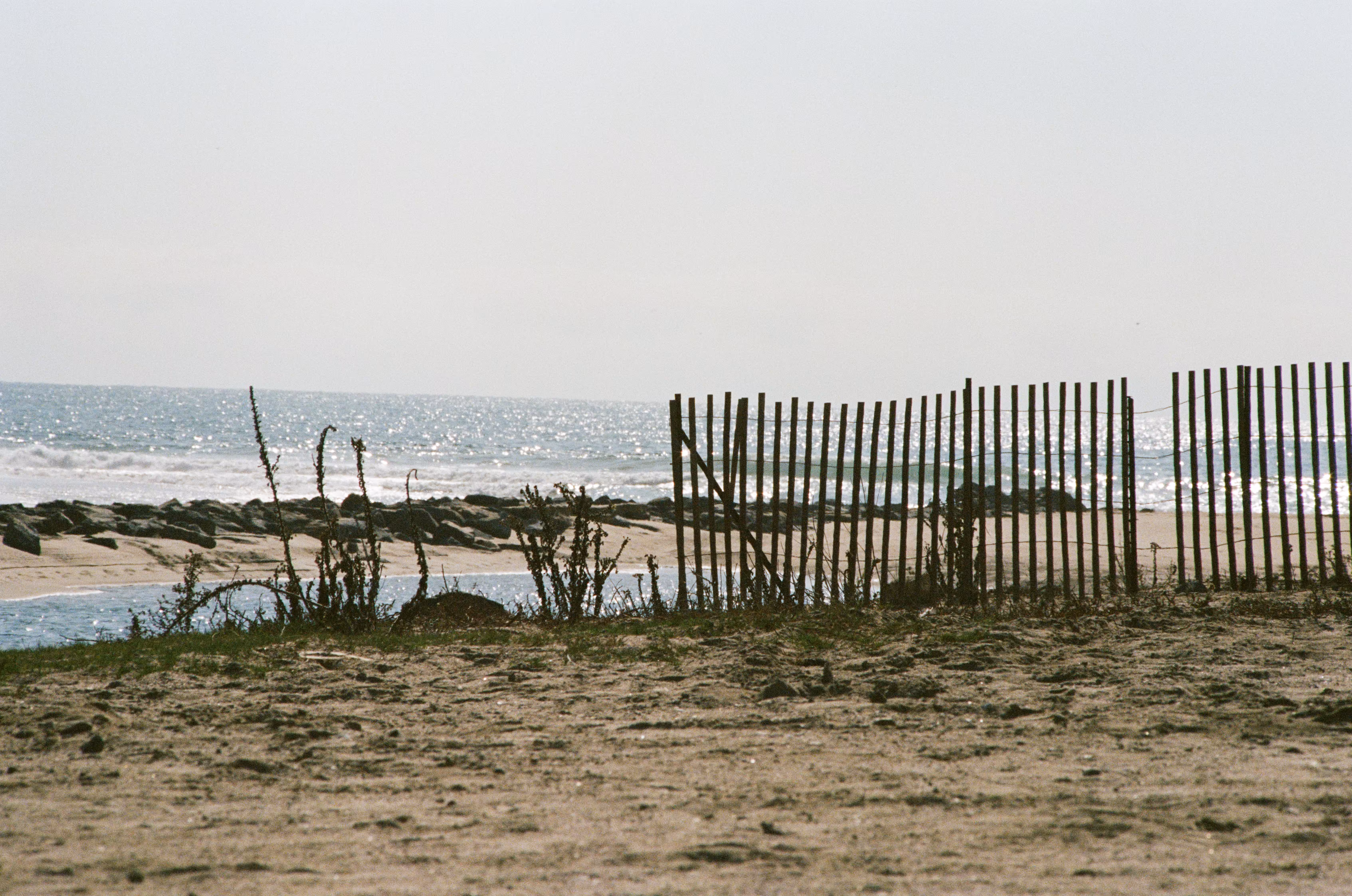 fences to freedoms