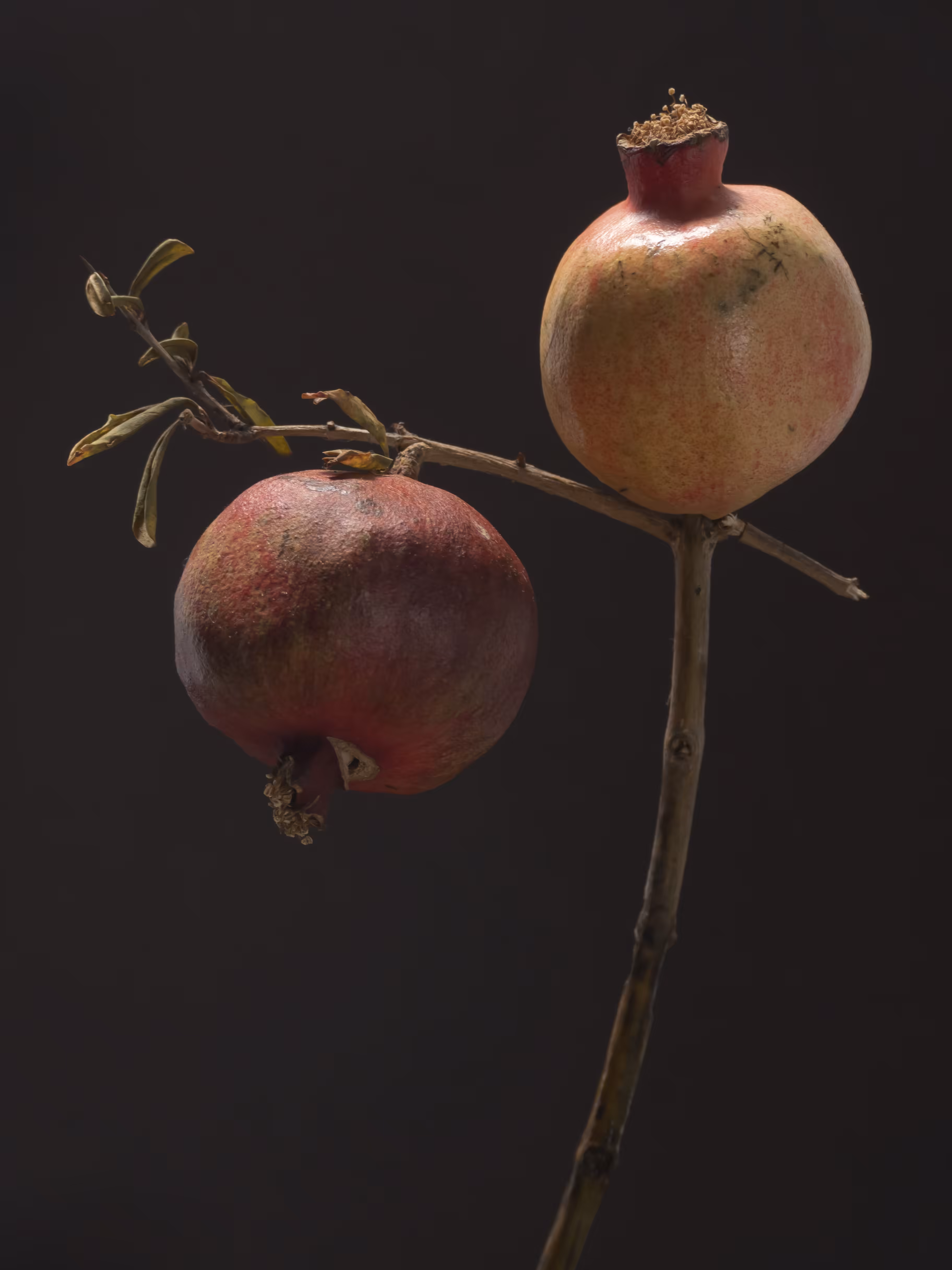 Pomegranates 