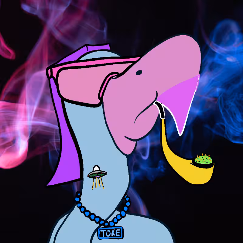 Tokin Flamingos #19