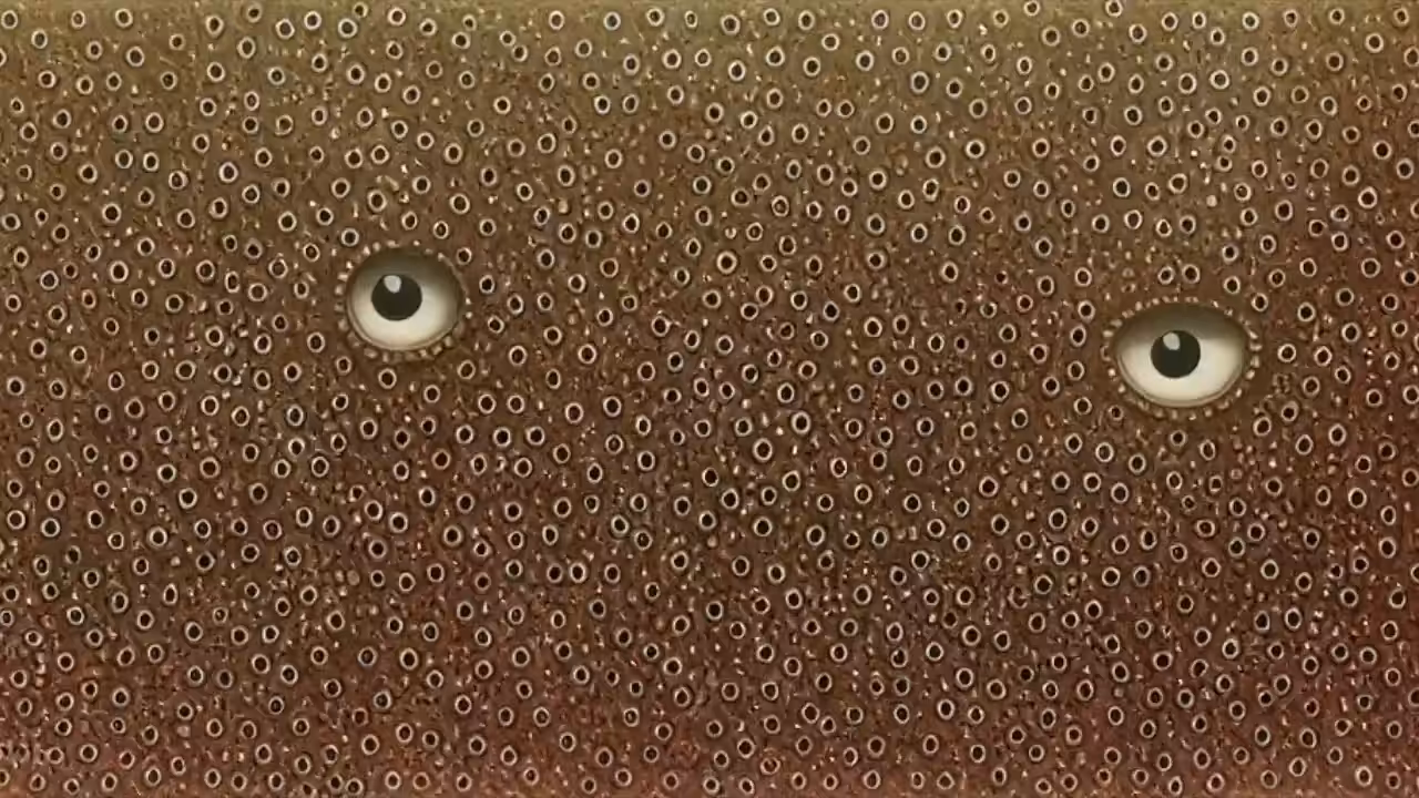 Trypopheyes